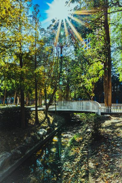 20251003184317 0ec8f613